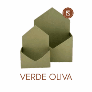 CAIXA ENVELOPE VERDE OLIVA M 22x12x30CM UN