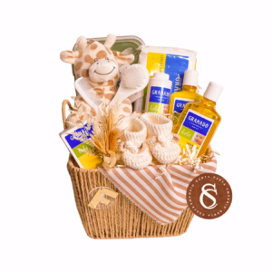 CESTA BABY HUG