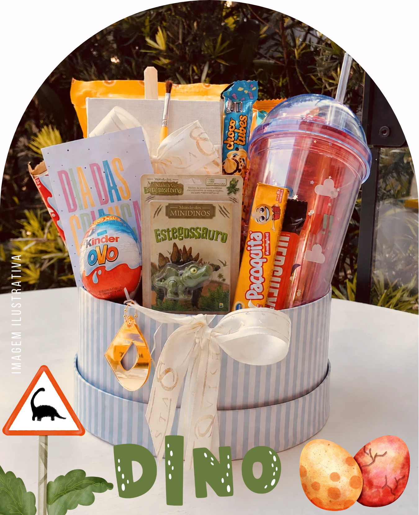 CESTA INFANTIL PEQUENO EXPLORADOR
